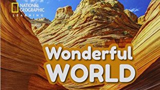 Wonderful World English, Level 2: Elementary