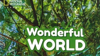 Wonderful World English, Level 3: Pre Intermediate